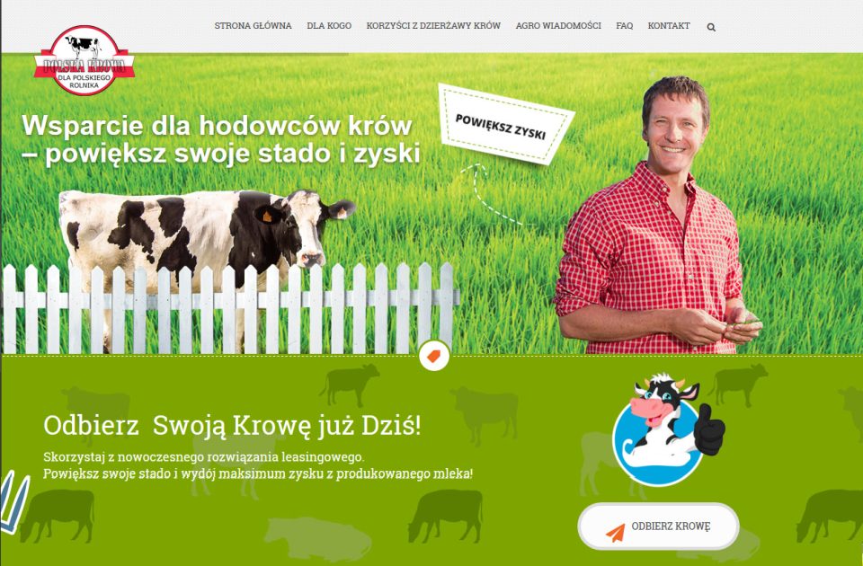 polska-krowa